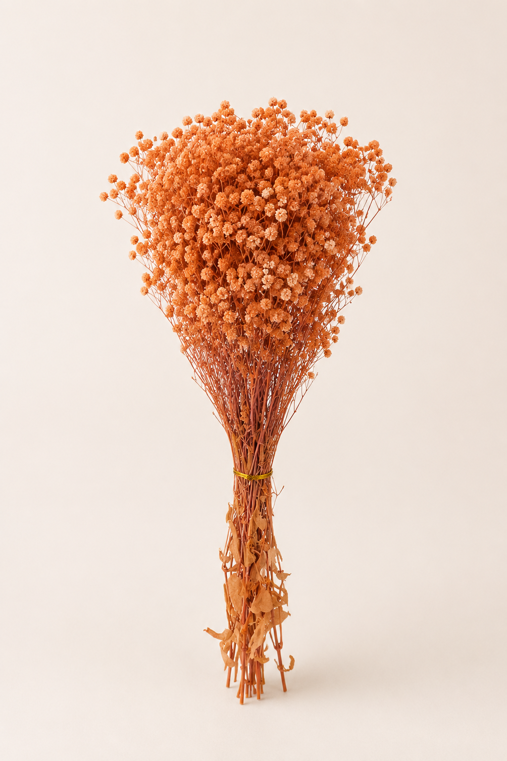 Fleurs Séchées 50- 55cm