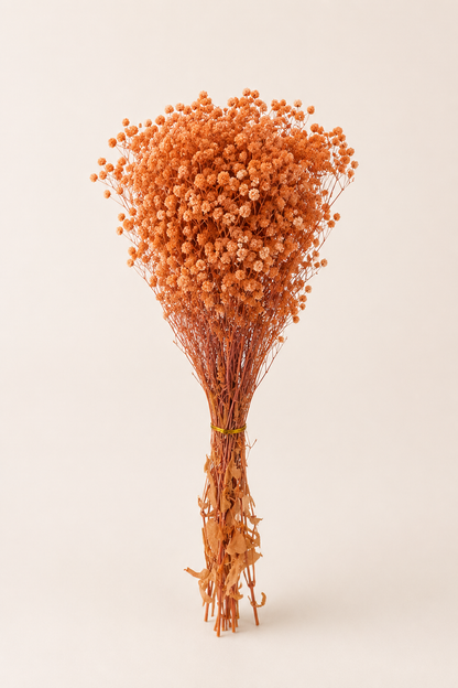 Fleurs séchées — 50 à 55 cm — vue 14, ODECO Boisbriand
