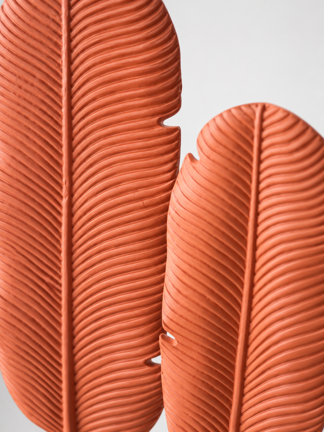 Duo Plume Verticale – vue 4 du produit | ODECO